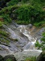 风景