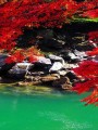 风景
