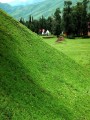 风景