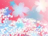 美丽碎花