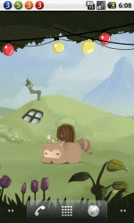 来回跑动的口袋熊